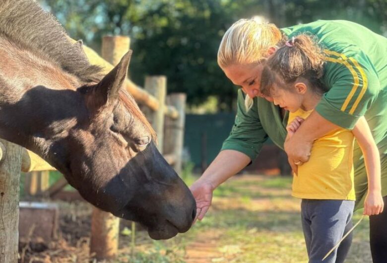 Equoterapia em MS une saúde e inclusão a pessoas com deficiência