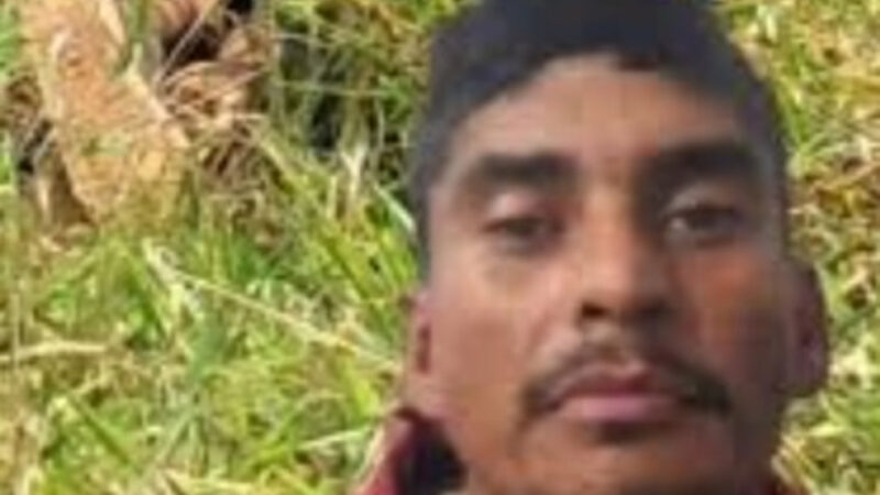 Ladrão é morto a tiros por segurança ao ser flagrado furtando produtos em atacadista