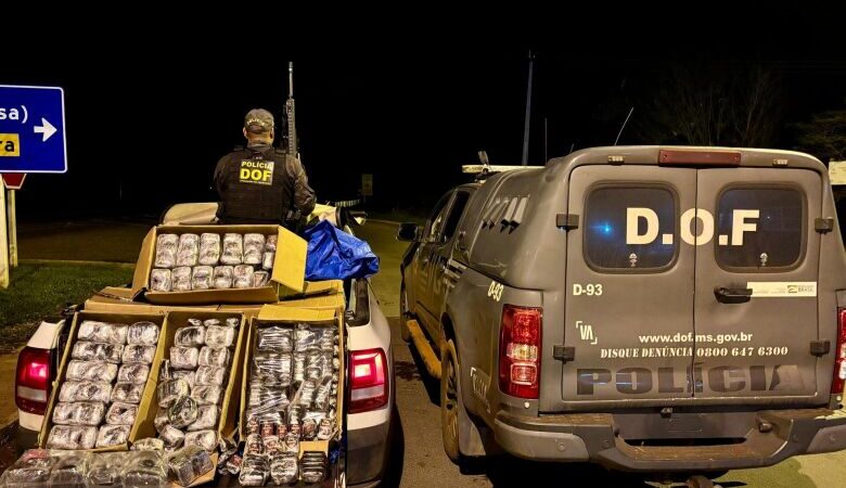 Mulher é presa em flagrante com carga de haxixe avaliada em R$ 7 milhões