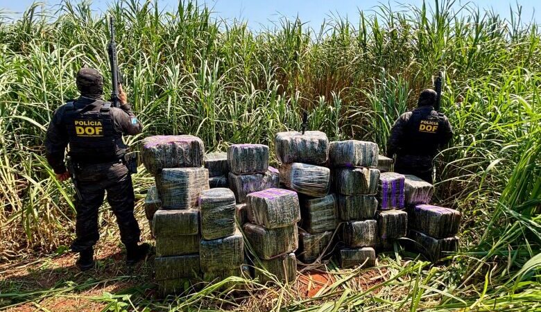 Polícia encontra quase uma tonelada de maconha e skunk escondida em assentamento rural