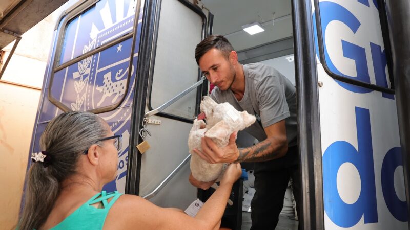 Prefeitura orienta que tutores levem animais em jejum para castração; veja todos os cuidados