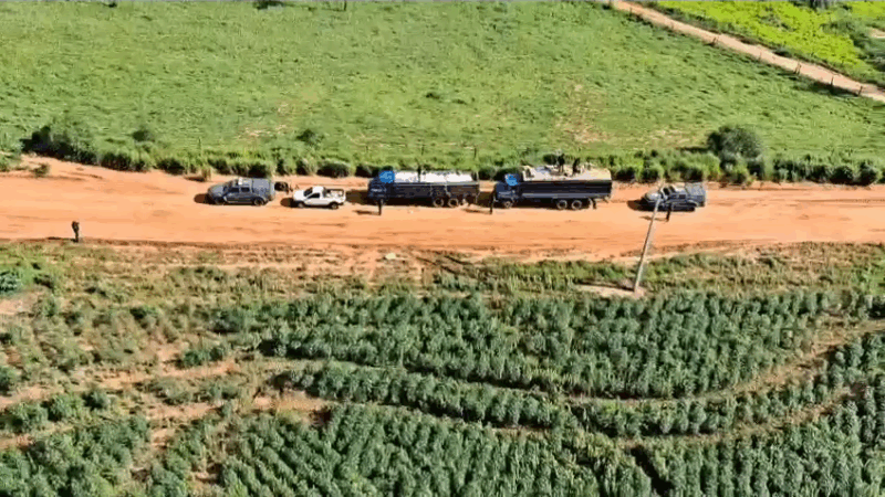 Caminhões e carro são apreendidos com 27 mil pacotes de cigarros e 10t de agrotóxicos