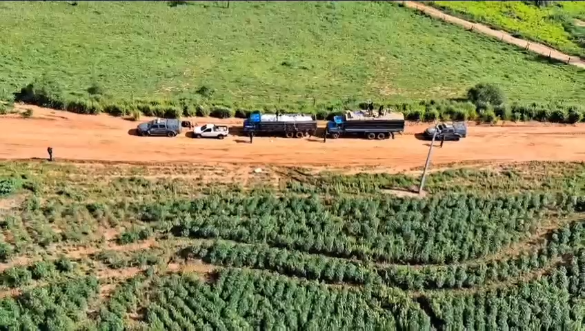 Caminhões e carro são apreendidos com 27 mil pacotes de cigarros e 10t de agrotóxicos