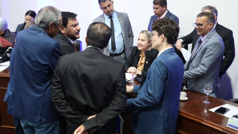 Câmara de Dourados fecha 2025 com quase 500 projetos votados