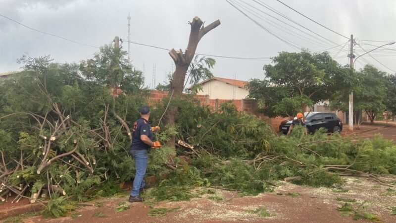 Prefeitura e Defesa Civil atuam para reduzir impactos do temporal em Dourados