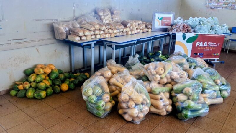 Prefeitura conclui 2 dias de ação com 3,9 toneladas de alimentos distribuídos nas aldeias