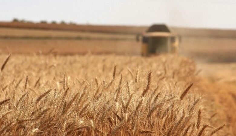 Por que os agricultores brasileiros estão investindo em software de gestão agrícola