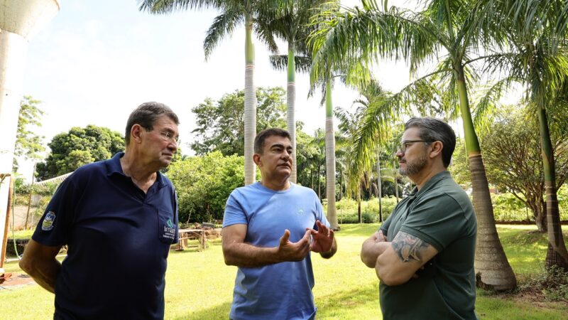 Viveiro Municipal fortalece plano de arborização e garante replantio de árvores em Dourados