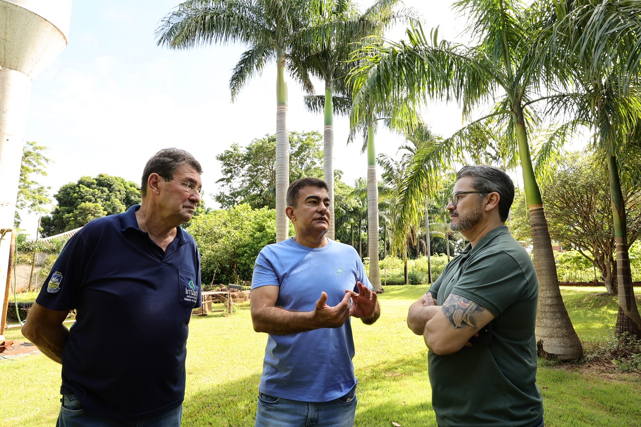 Viveiro Municipal fortalece plano de arborização e garante replantio de árvores em Dourados