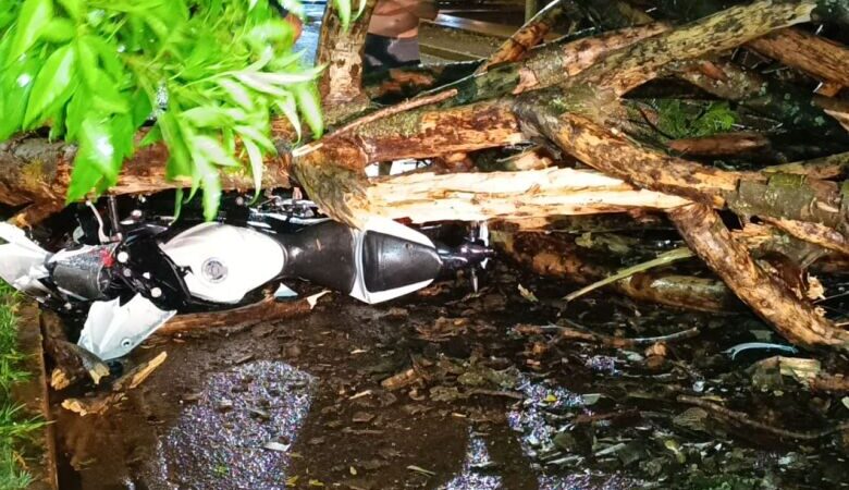 Motociclista fica ferido após ser atingido por árvore durante temporal em Dourados