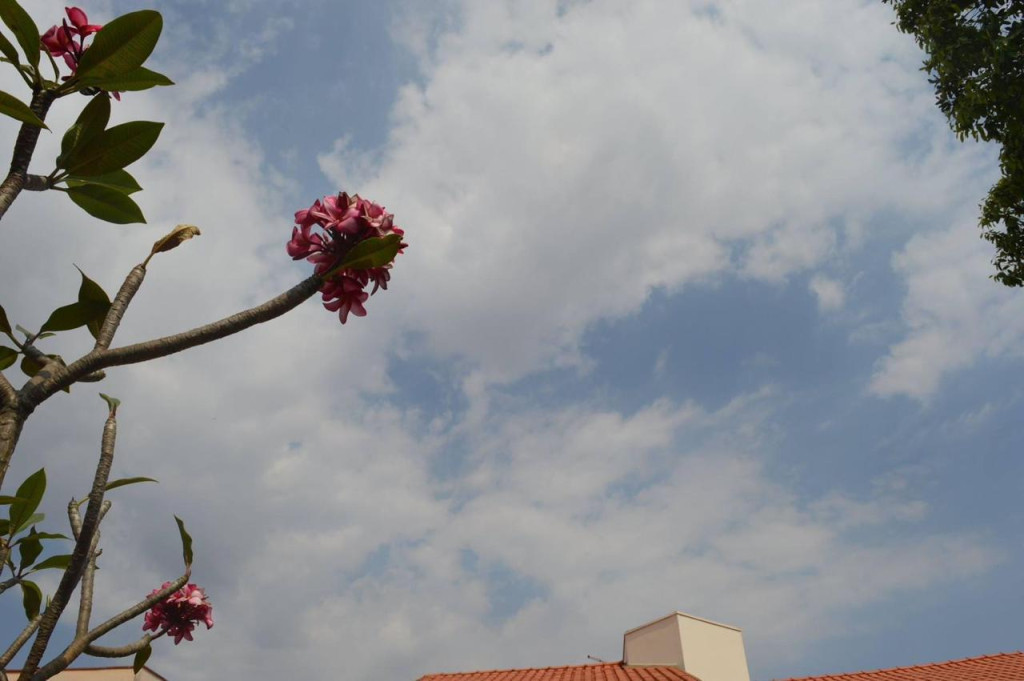 Dourados terá terça-feira de calor intenso e alerta para chuvas fortes, aponta Inmet