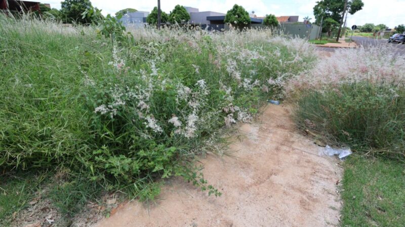 Prefeitura alerta que prazo para roçada e limpeza de terrenos baldios está correndo