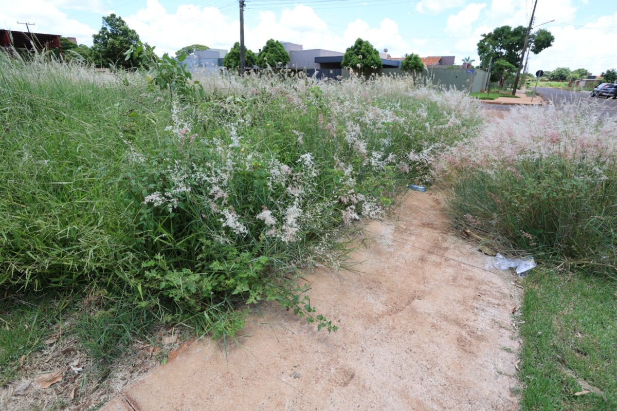 Prefeitura alerta que prazo para roçada e limpeza de terrenos baldios está correndo