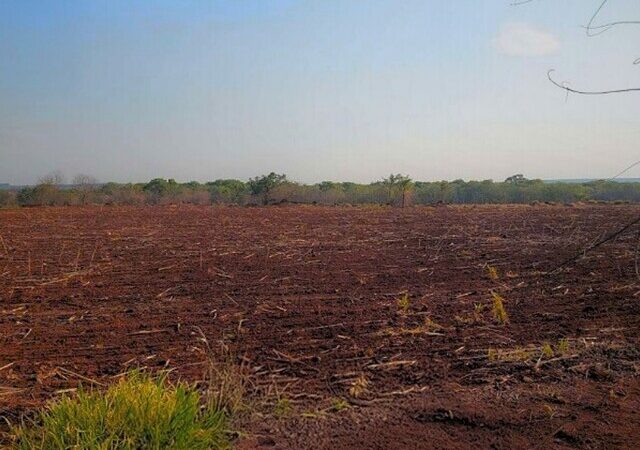 Acordo prevê recuperação de área desmatada em fazenda de Ponta Porã