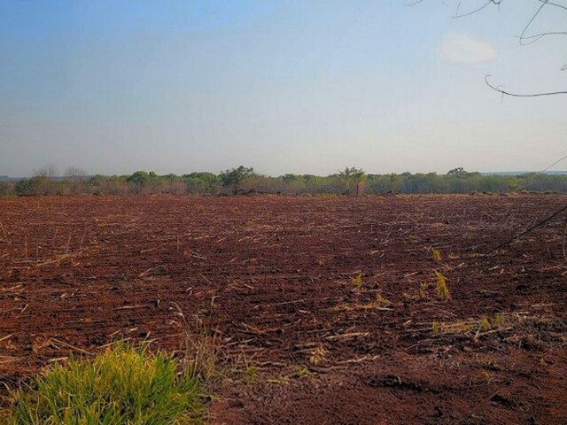 Acordo prevê recuperação de área desmatada em fazenda de Ponta Porã