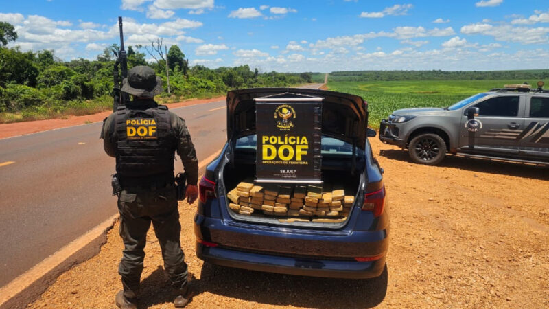 Homem é preso com 250 quilos de maconha e afirma que buscou na fronteira