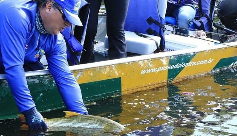 Pesque e solte está liberado nas calhas dos rios Paraguai e Paraná