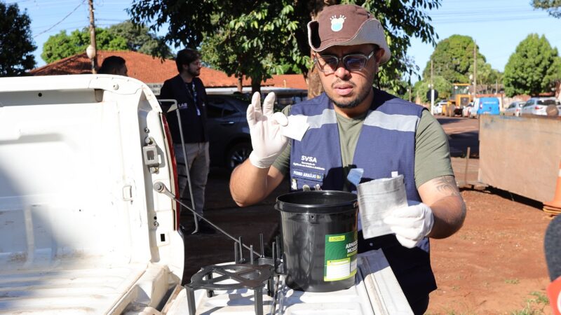 Força-tarefa amplia combate à chikungunya com armadilhas e mutirão em bairros críticos