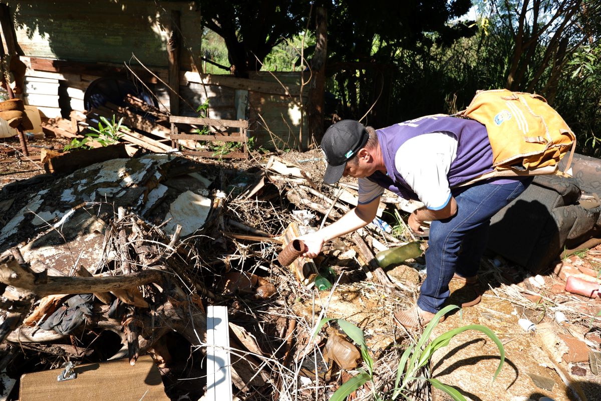 Chikungunya está presente em 37 dos 79 municípios de Mato Grosso do Sul