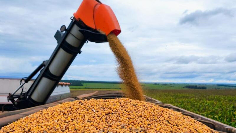 Colheita da soja alcança 82% da área e plantio do milho chega a 84,6% em MS