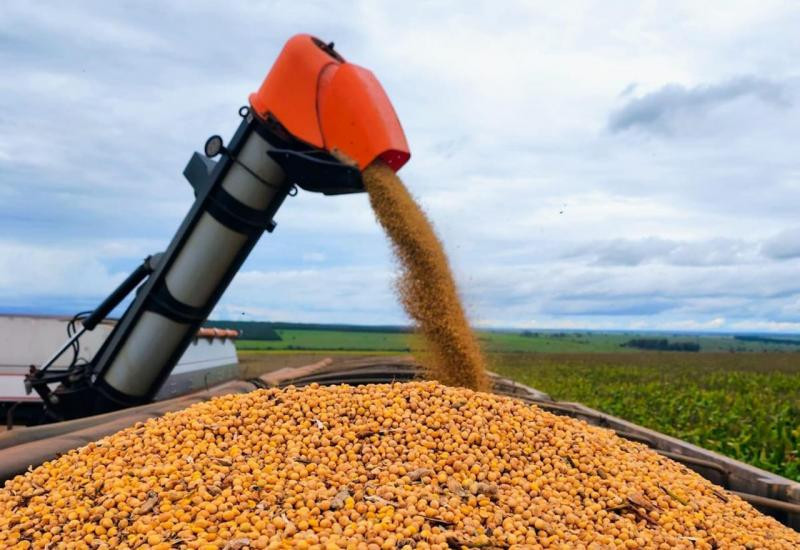 Colheita da soja alcança 82% da área e plantio do milho chega a 84,6% em MS