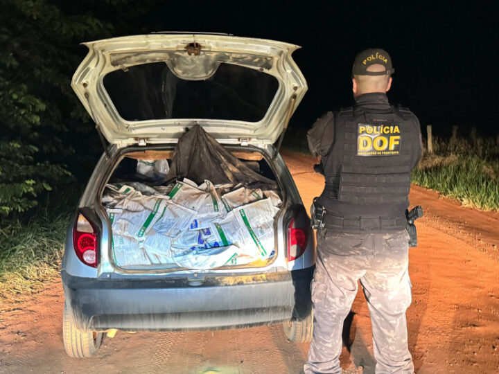 DOF apreende 600 quilos de agrotóxicos após condutor abandonar veículo