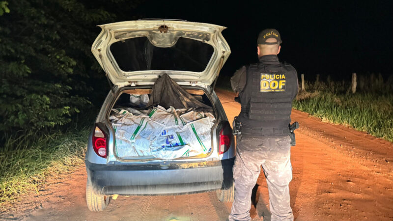 DOF apreende 600 quilos de agrotóxicos após condutor abandonar veículo