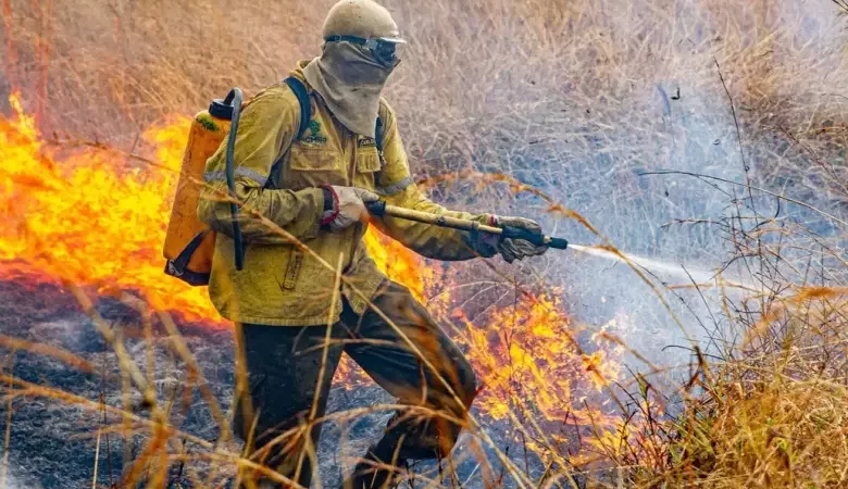 Governo divulga planejamento para enfrentar incêndios em 2026