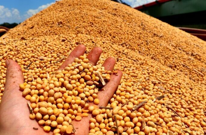 Agro brasileiro destaca o país entre grandes produtores e exportadores mundiais