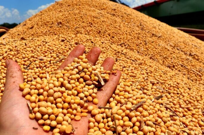 Agro brasileiro destaca o país entre grandes produtores e exportadores mundiais