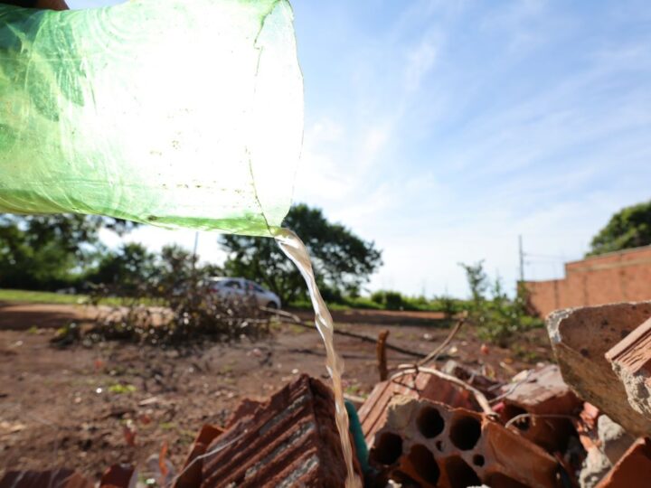 Dourados tem 6.411 notificações e 2.204 casos confirmados de Chikungunya