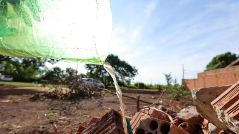 Dourados tem 6.411 notificações e 2.204 casos confirmados de Chikungunya