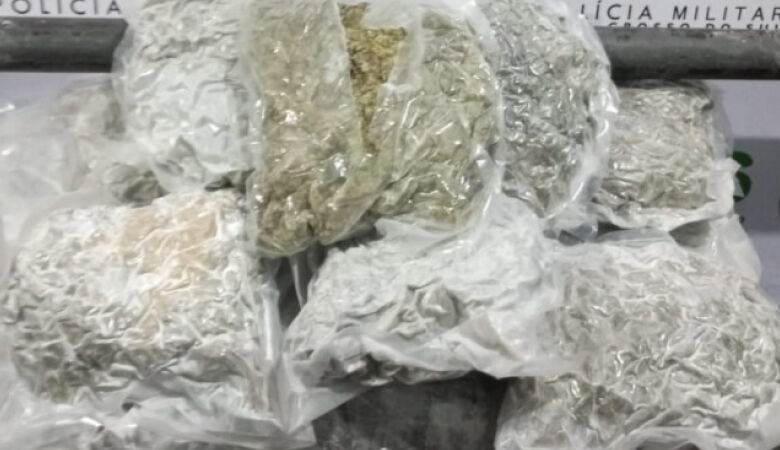 Rapaz é preso tentando embarcar com skunk em terminal rodoviário