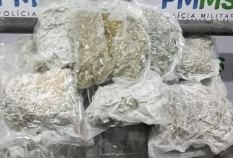 Rapaz é preso tentando embarcar com skunk em terminal rodoviário