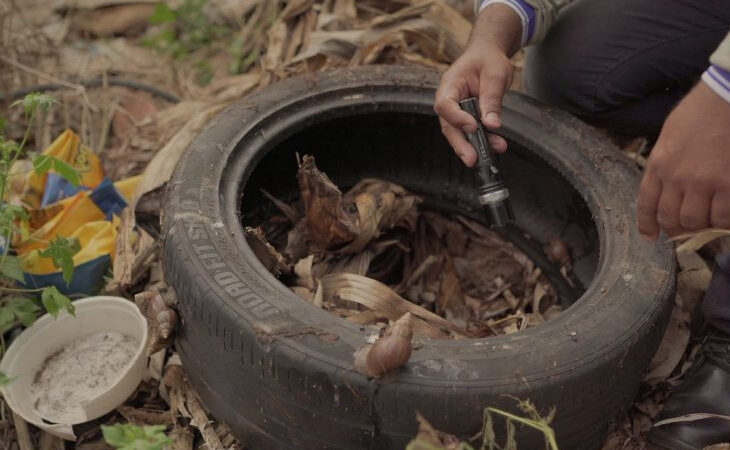 Chikungunya soma 5.195 casos prováveis e 57% de positividade em Dourados