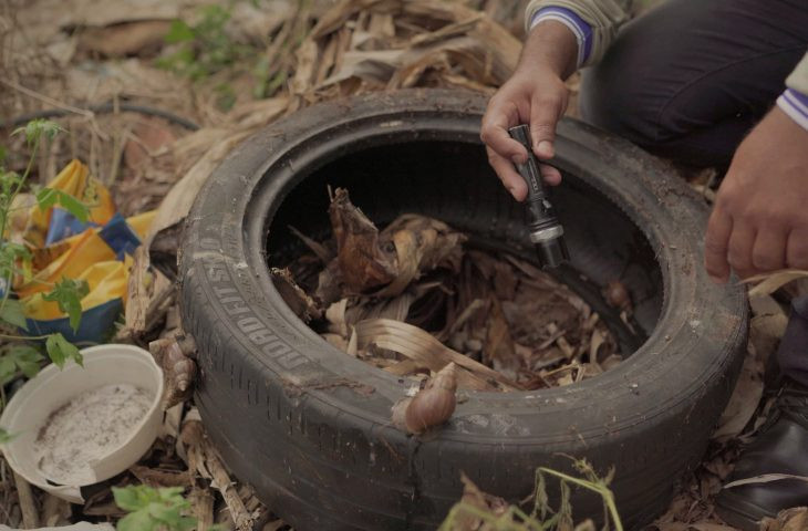 Chikungunya soma 5.195 casos prováveis e 57% de positividade em Dourados