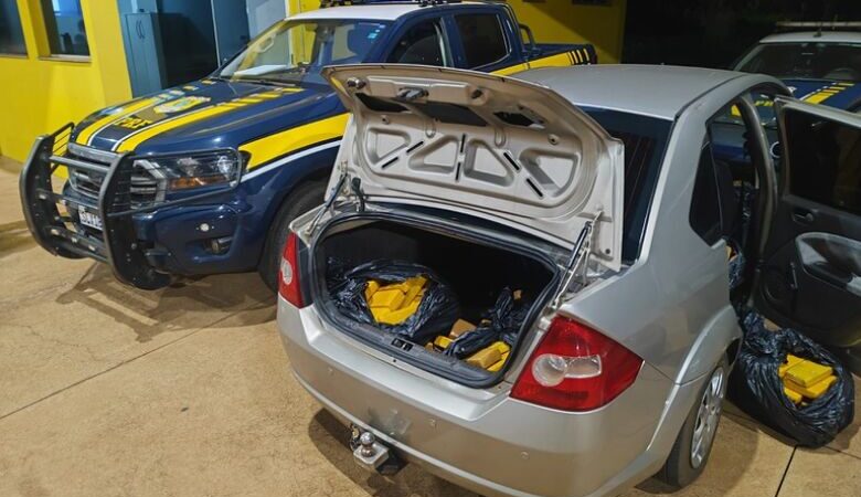 Polícia apreende 247 quilos de maconha que seriam levados para MG