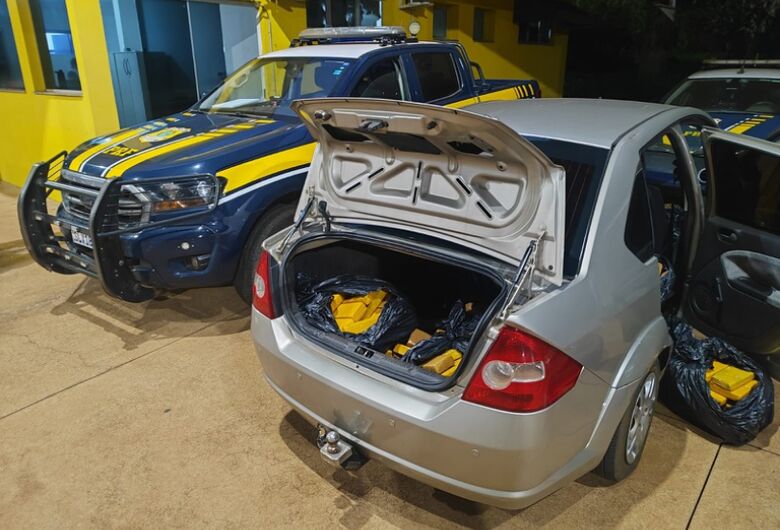 Polícia apreende 247 quilos de maconha que seriam levados para MG