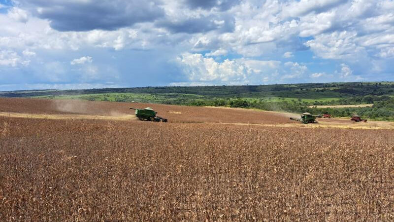 Após revisão, produtividade da soja passa de 52,8 para 61,7 sacas por hectare
