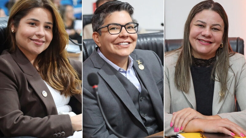 Câmara cria Comissão dos Direitos da Mulher em meio à alta de feminicídios