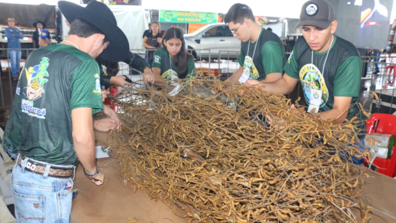 Pé de Soja Solteiro será de 24 a 26 de abril em Laguna Carapã