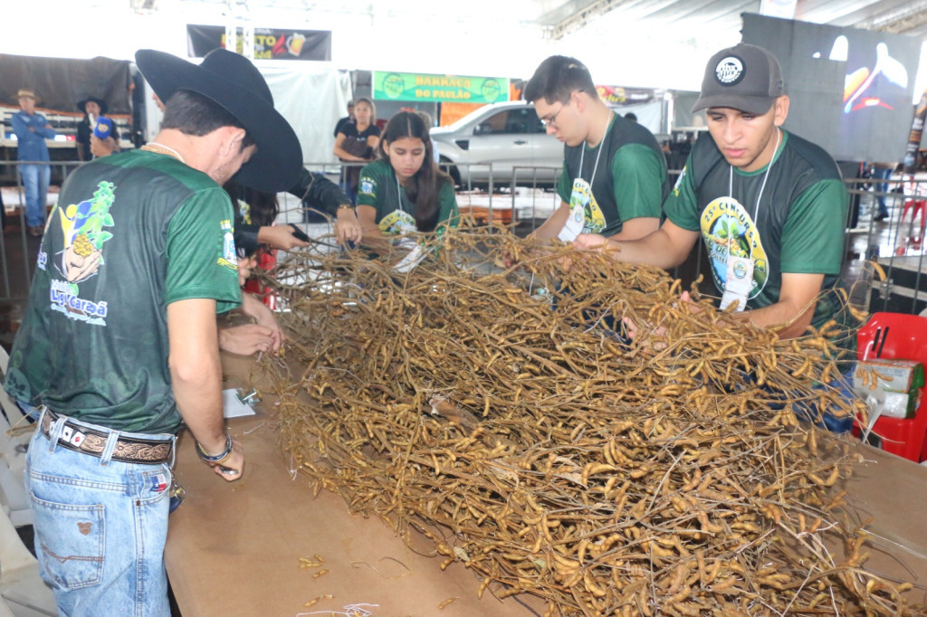 Pé de Soja Solteiro será de 24 a 26 de abril em Laguna Carapã