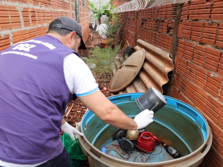 COE aponta que houve 8.655 notificações de Chikungunya com 3.948 confirmações