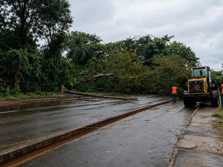 Prefeitura mantém força-tarefa após temporal e segue com atendimentos na cidade