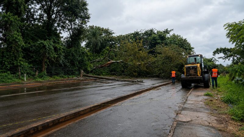 Prefeitura mantém força-tarefa após temporal e segue com atendimentos na cidade