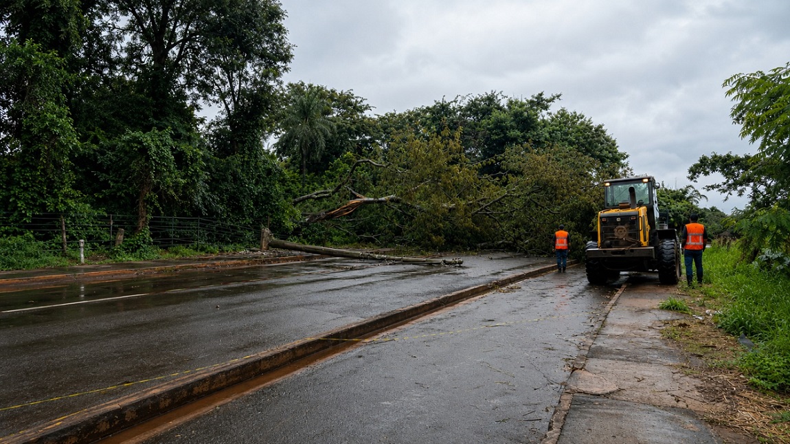 Prefeitura mantém força-tarefa após temporal e segue com atendimentos na cidade