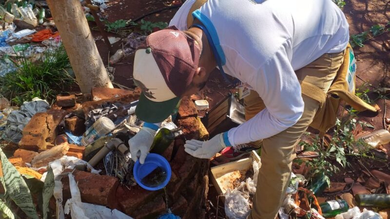 Agentes de endemias vistoriam mais 1.349 imóveis e identificam 6 focos de Chikungunya