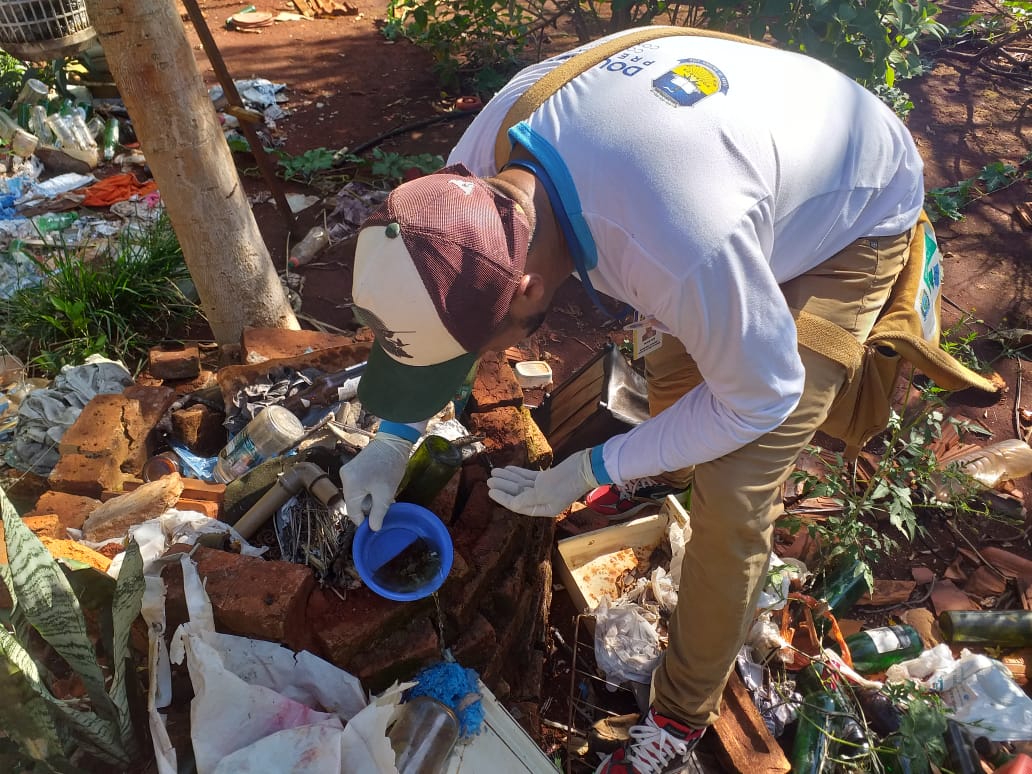 Agentes de endemias vistoriam mais 1.349 imóveis e identificam 6 focos de Chikungunya