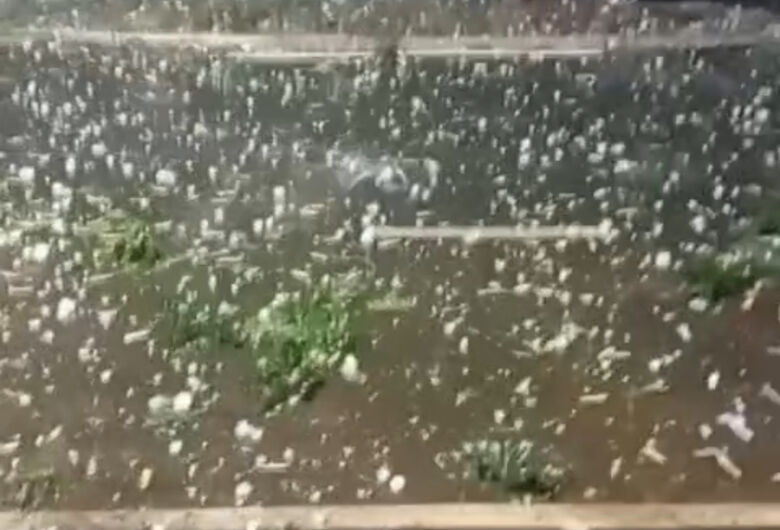 Região enfrenta noite de ‘caos’ com granizo, alagamentos e ventania