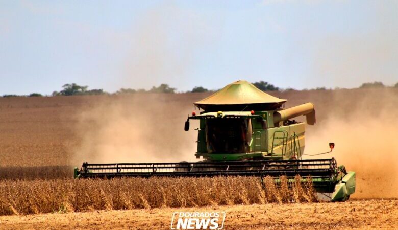Conab estima safra recorde de grãos e maior produção de soja da série histórica